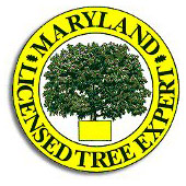 Maryland License logo